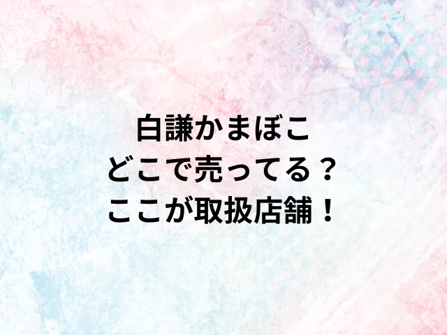 白謙かまぼこどこで売ってる？ここが取扱店舗！