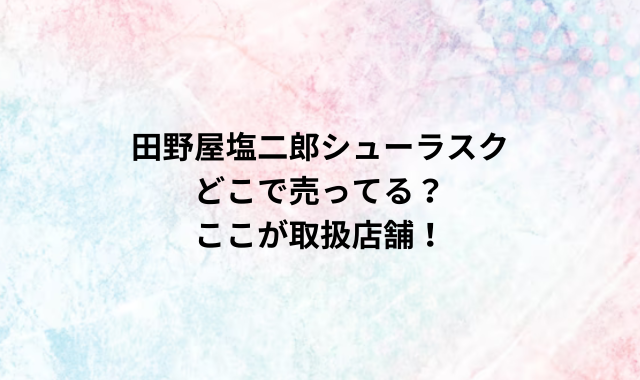 田野屋塩二郎シューラスクどこで売ってる？ここが取扱店舗！