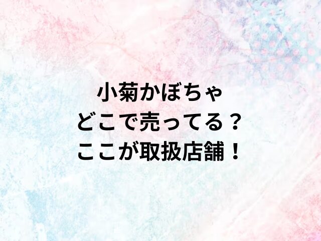 小菊かぼちゃどこで売ってる？ここが取扱店舗！