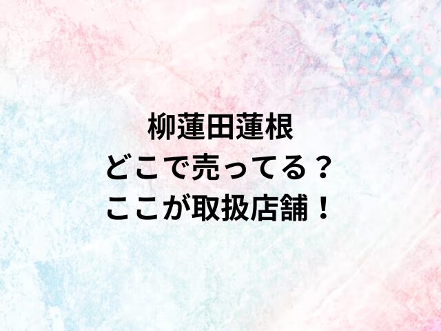 柳蓮田蓮根どこで売ってる？ここが取扱店舗！